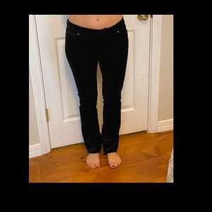 Black Velvet White House Black Market pants